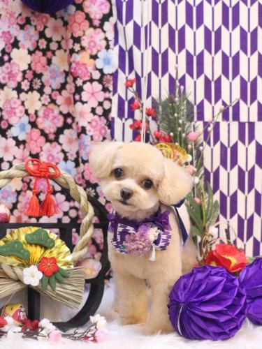 20250123チップくん